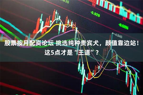 股票按月配资论坛 挑选纯种贵宾犬，颜值靠边站！这5点才是“王道”？