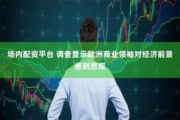 场内配资平台 调查显示欧洲商业领袖对经济前景感到悲观