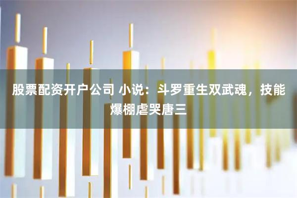 股票配资开户公司 小说：斗罗重生双武魂，技能爆棚虐哭唐三