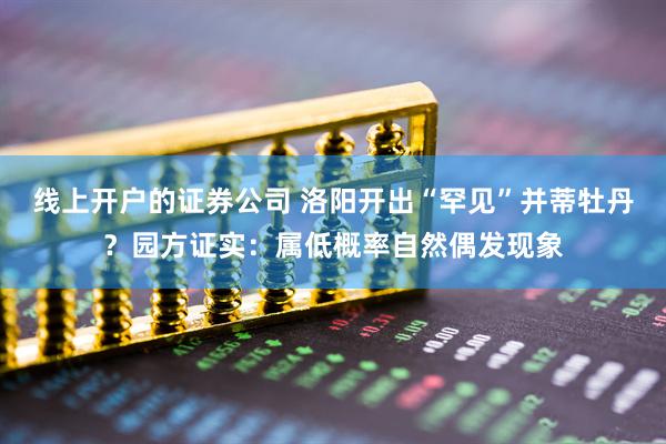 线上开户的证券公司 洛阳开出“罕见”并蒂牡丹？园方证实：属低概率自然偶发现象